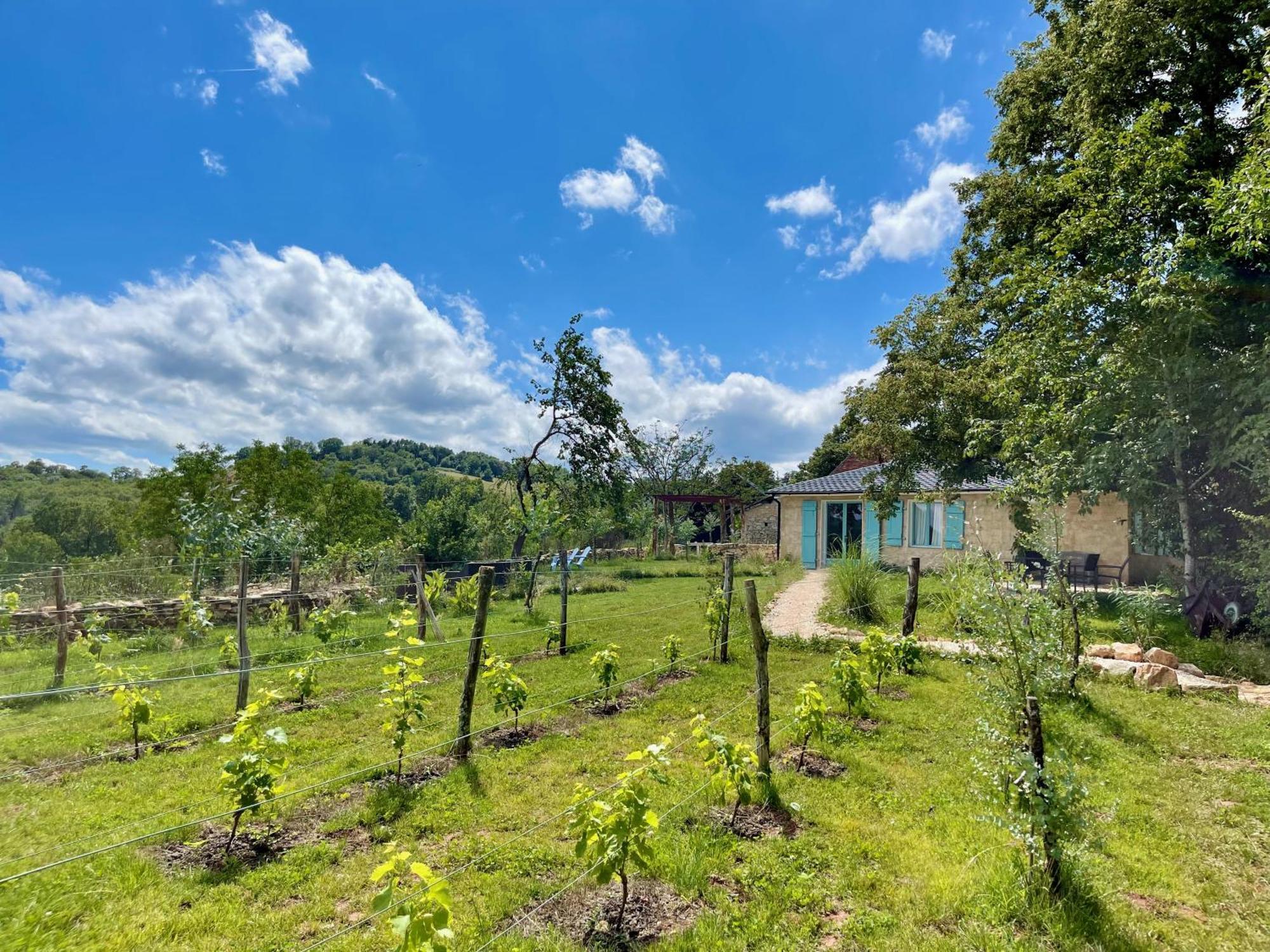 Villa La Belle Petite Ferme Rosiers De Julliac 19350 Le Bos Esterno foto